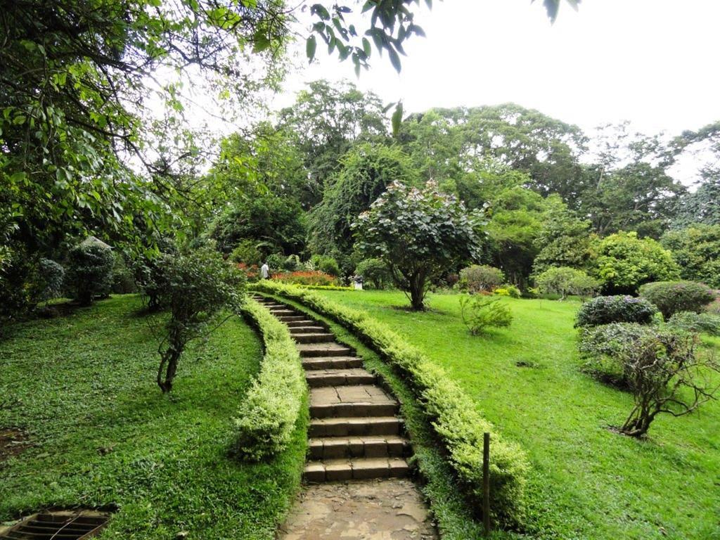 Settle Inn Tourist Lodge كاندي المظهر الخارجي الصورة